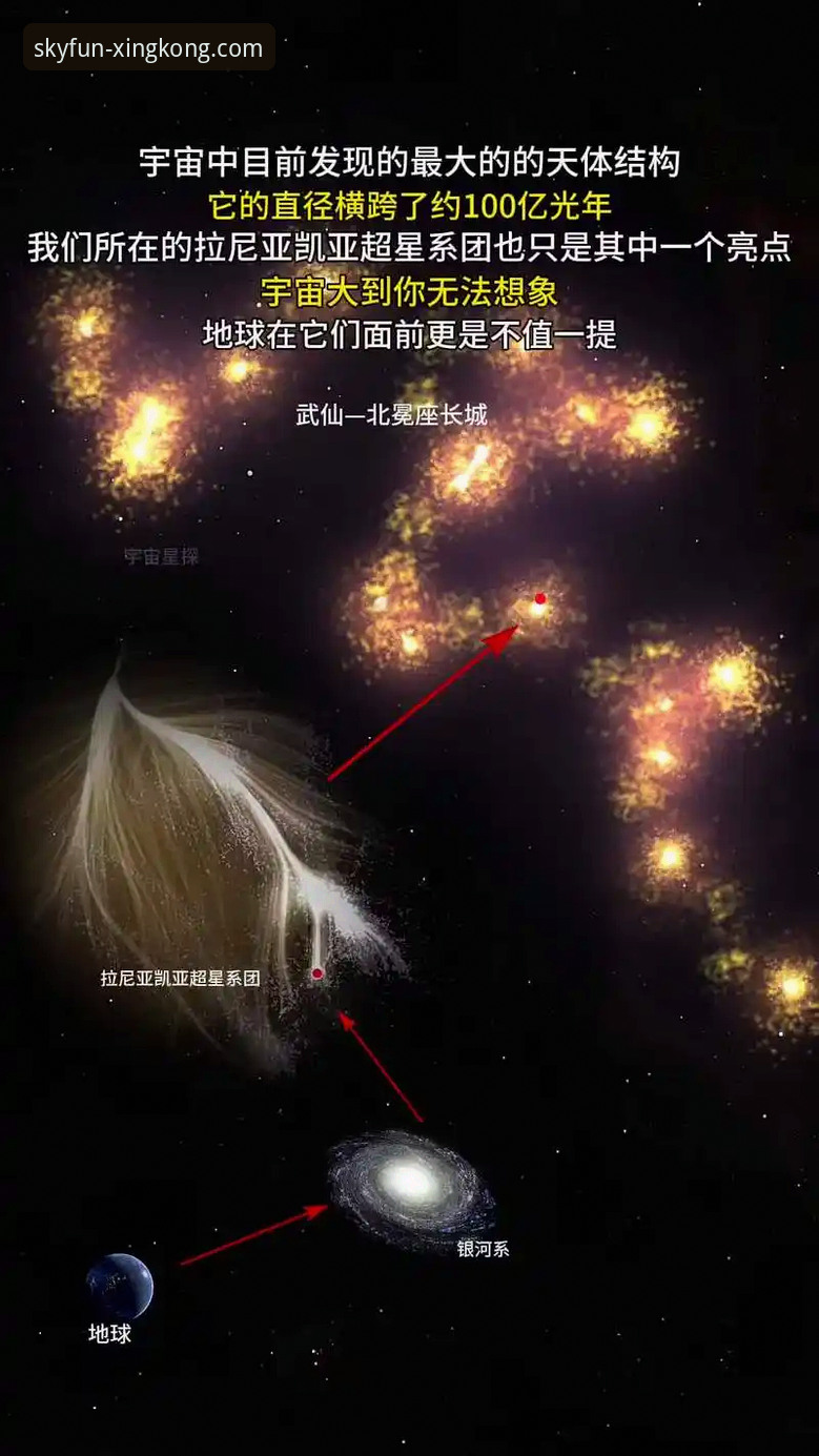 星空官网登录入口vs普通娱乐平台：专业分析揭示的5个关键差异